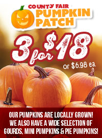 PUMPKIN PATCH