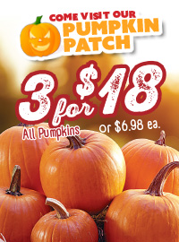 Advertisement for a pumpkin patch with pumpkins and sale information.