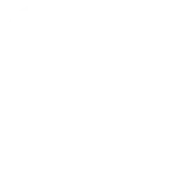 Instagram Icon
